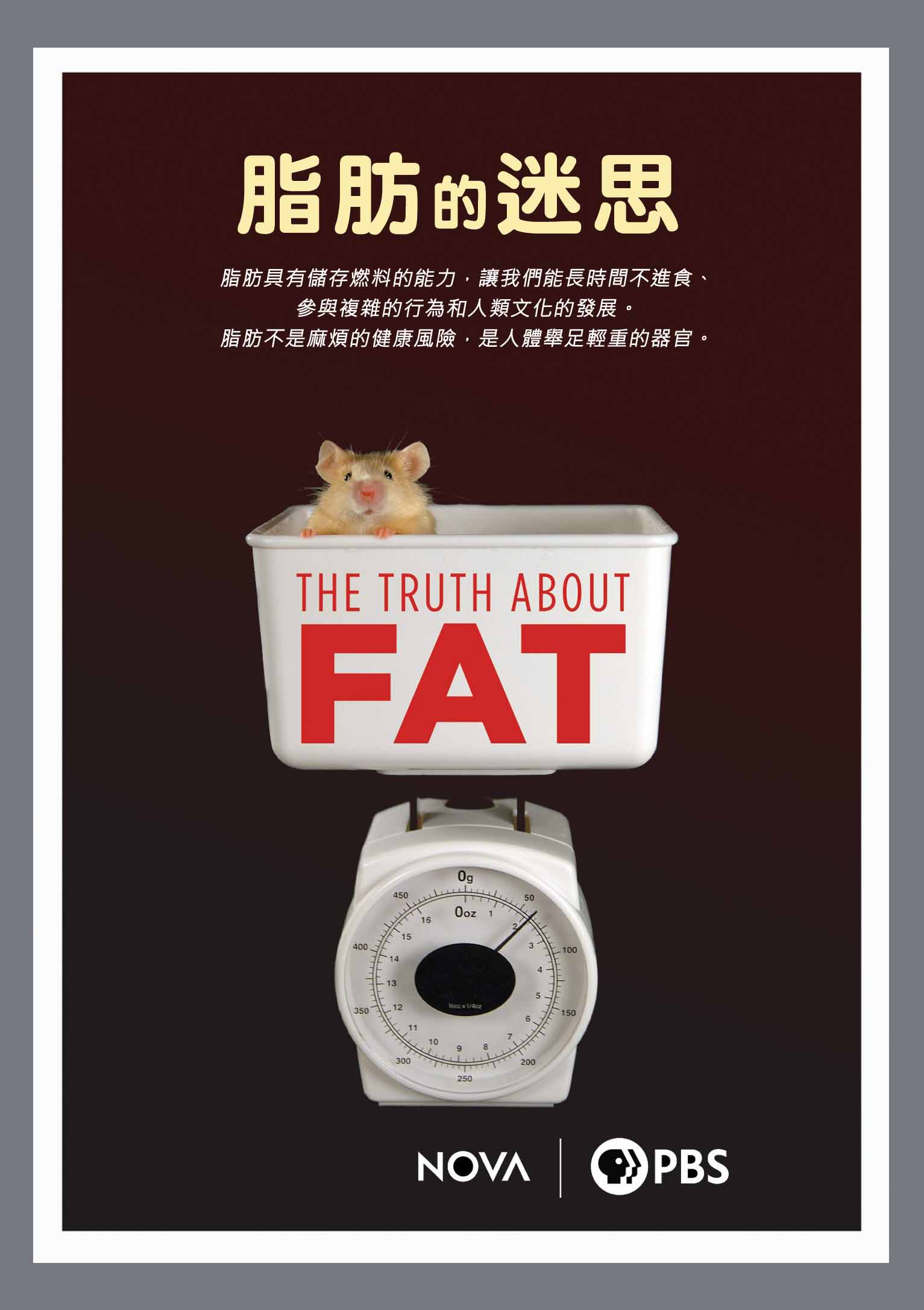 圖書館-脂肪的迷思