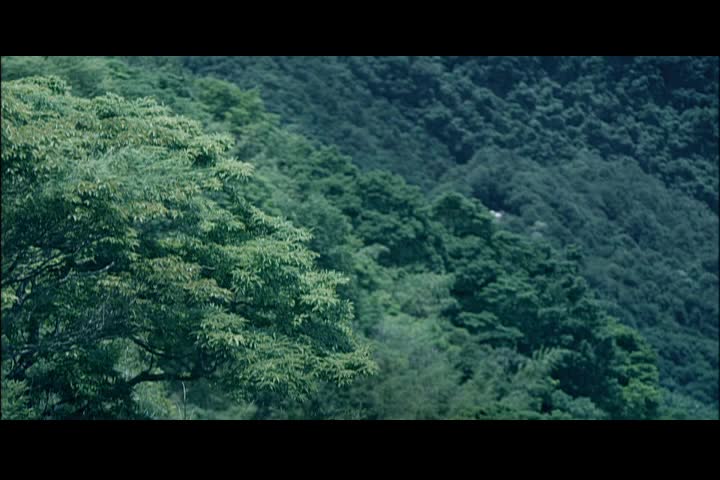 圖書館-登山