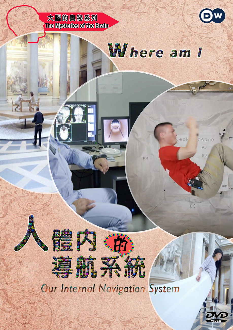 圖書館-人體內的導航系統