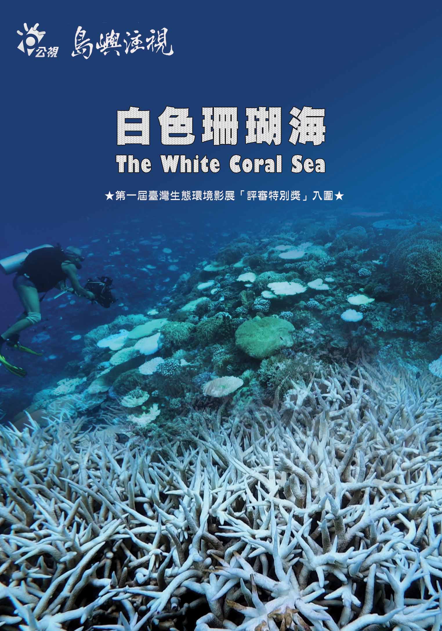 圖書館-白色珊瑚海