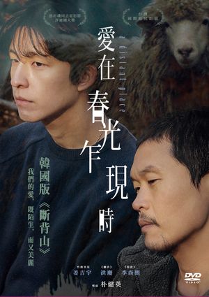 圖書館-愛在春光乍現時