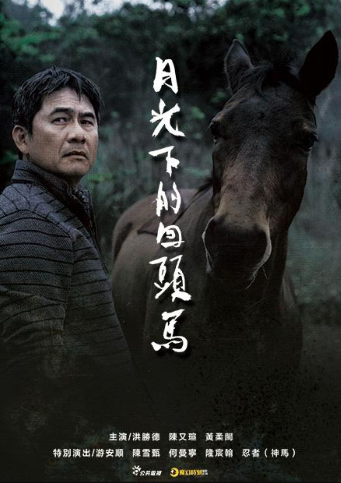 圖書館-月光下的回頭馬