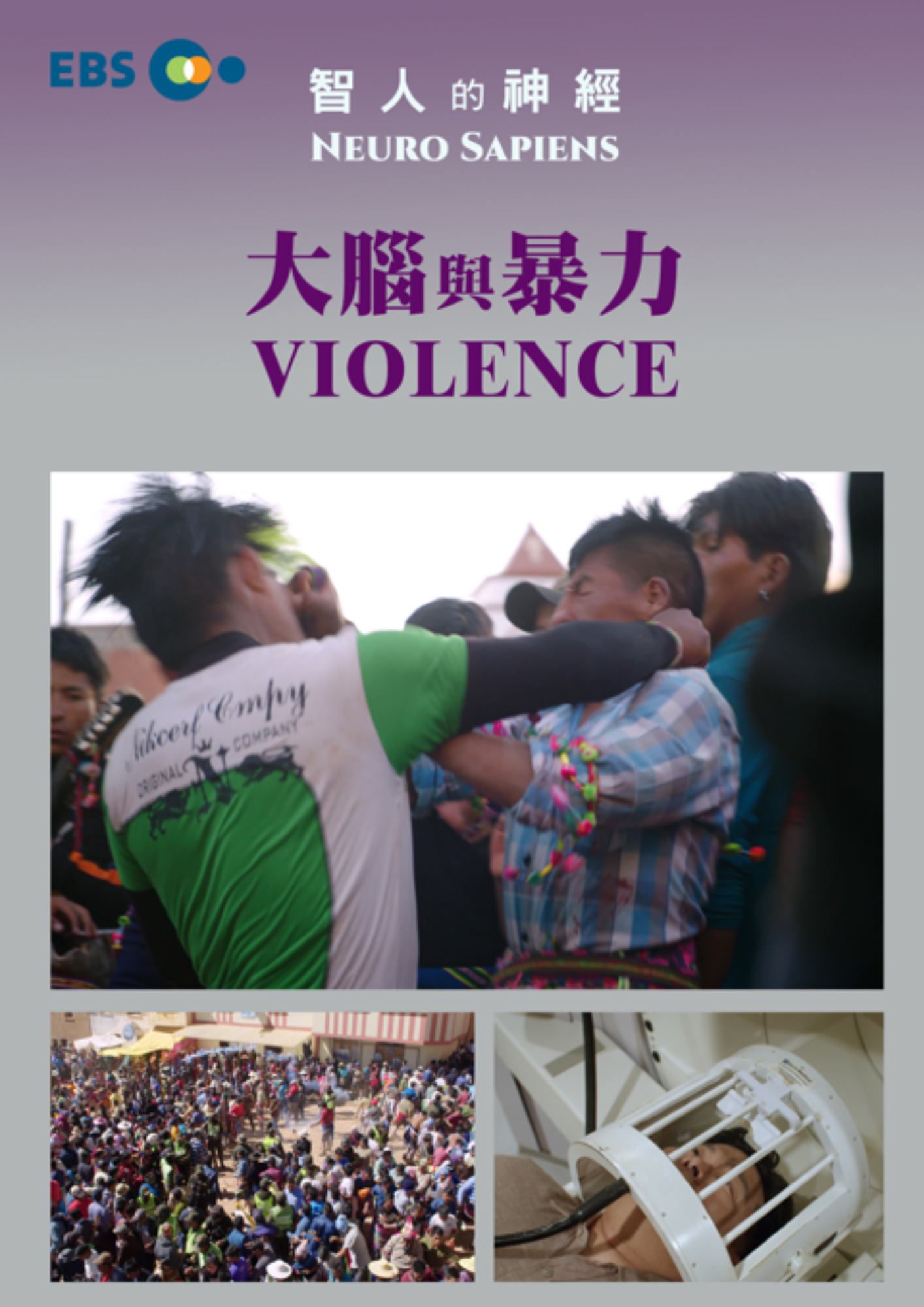 圖書館-智人的神經 2 (大腦與暴力)